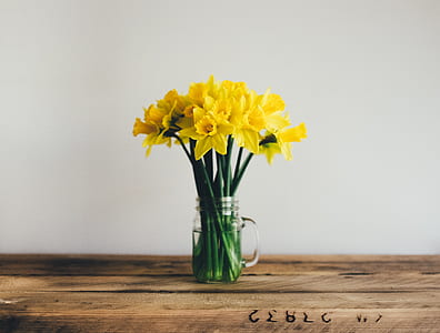 close-up photo of yellow daffodil flower centerpiece on brown wooden table thumbnail