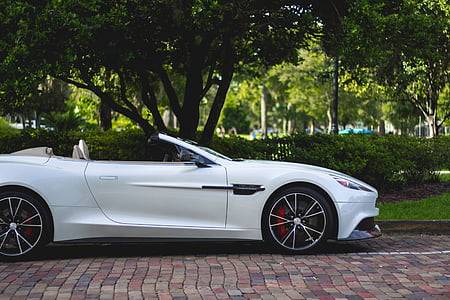 white Aston Martin Volante parked near tree thumbnail
