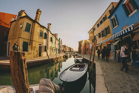 person walking on sidewalk beside body of water thumbnail