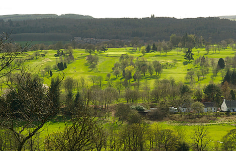 aerial photography of green grass field and trees at day time thumbnail