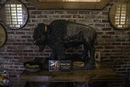 Buffalo Statue in the visitor's center at Buffalo Trace Distillery thumbnail