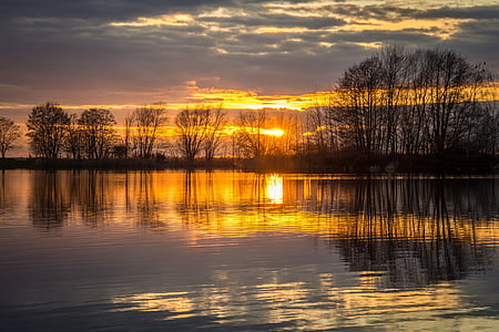 photo of trees near body of water during golden hour thumbnail