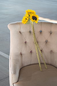 three sunflowers on beige suede sofa thumbnail