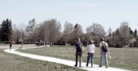 three person walking near bare trees thumbnail