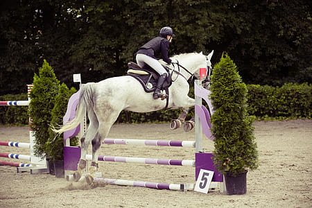 equestrian thumbnail