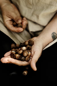 bunch of Acorns on person's palm thumbnail