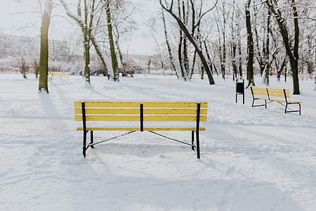 Wintery Park thumbnail