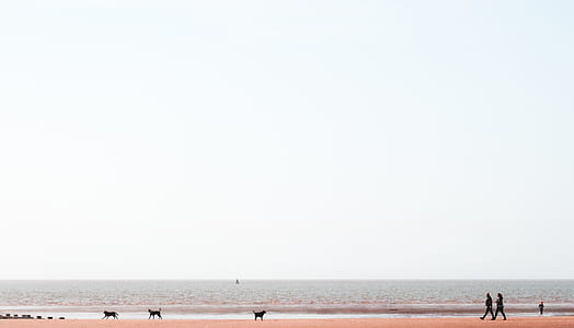 two persons walking on beach thumbnail