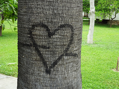 tree trunk with heart illustration thumbnail