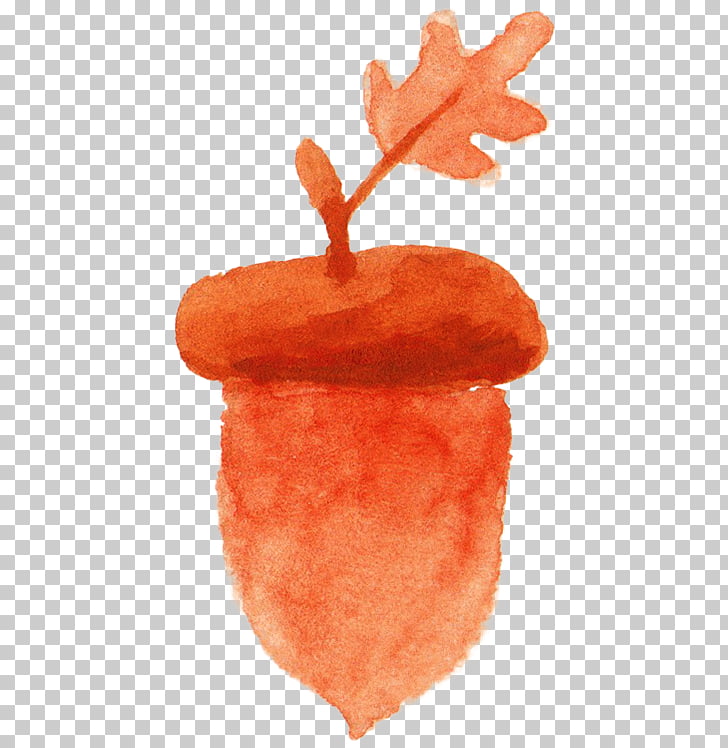 Acorn Watercolor Painting Orange Acorn Png Clipart Free Cliparts Uihere