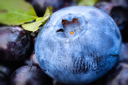 close-up photo of blueberries thumbnail