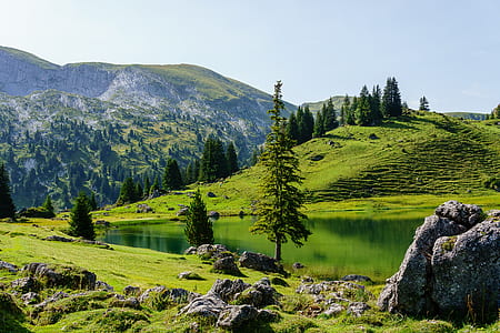 trees near body of water and mountain during daytime thumbnail