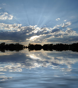 photograph of mangroves near body of water thumbnail