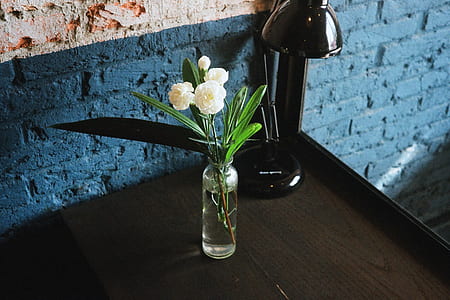 white petaled flower thumbnail