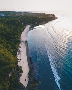 bird's eye view of seashore thumbnail