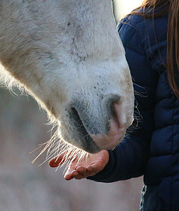woman's hand below horse's mouth thumbnail