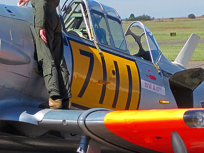 man standing on airplane thumbnail