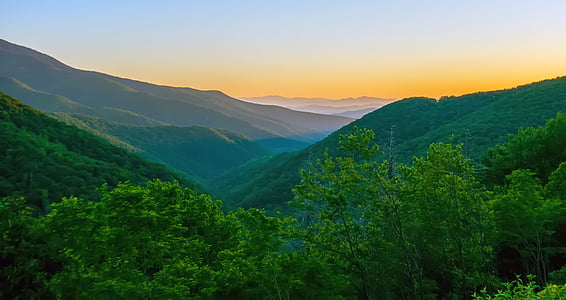 green mountain with forest thumbnail