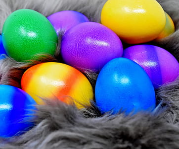 assorted eggs on fur textile thumbnail