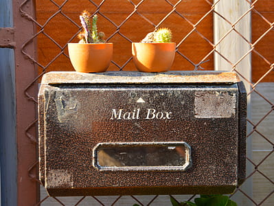 two green cactus plants on brown metal mailbox thumbnail