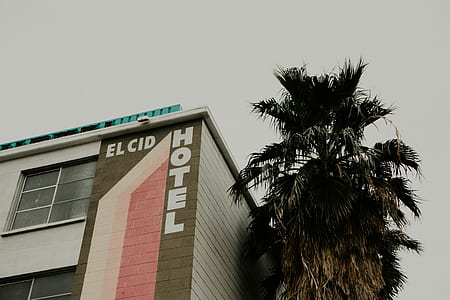 worm's eye view of El Cid hotel during daytime thumbnail