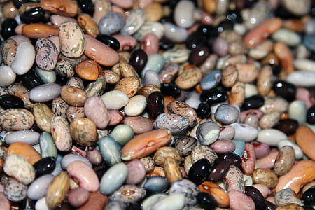 closeup photo of seeds thumbnail