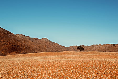 brown sand under blue sky thumbnail