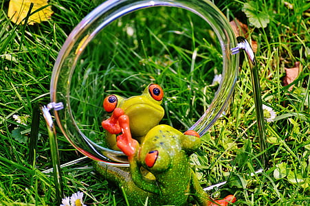 green frog looking at the mirror thumbnail