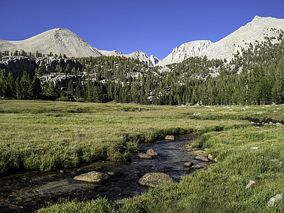 Crabtree Meadows in Sequoia National Park, California thumbnail