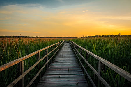 gray wooden bridge near green grass field thumbnail