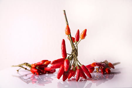still life photograph of chili thumbnail