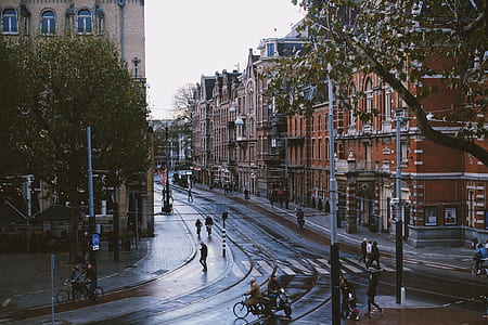persons walking on road near city buildings thumbnail