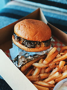 hamburger and fries in box thumbnail