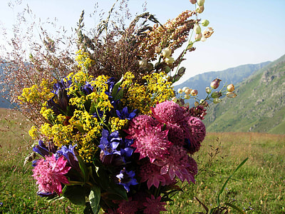 Bouquet, Bouquet Of Flowers thumbnail