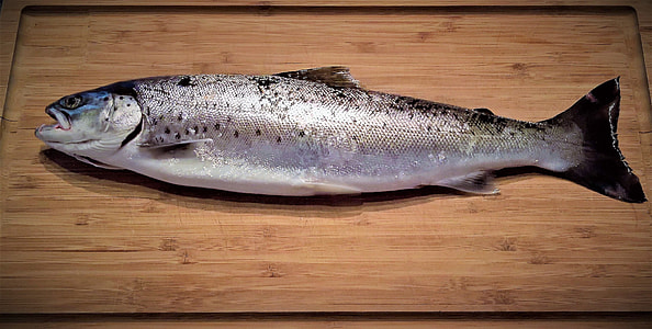 silver fish on cutting board thumbnail