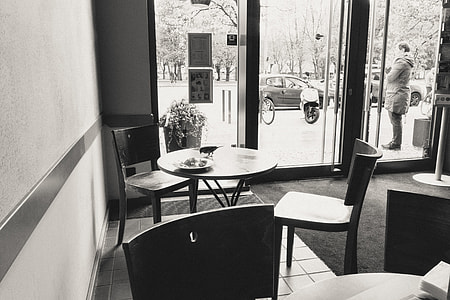 Bird on a table in a cafe thumbnail