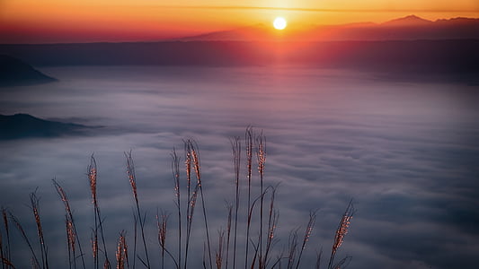 fog at sunset thumbnail