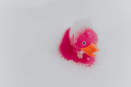 Pink rubber ducky in foam thumbnail