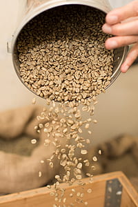 person pouring beans into box thumbnail