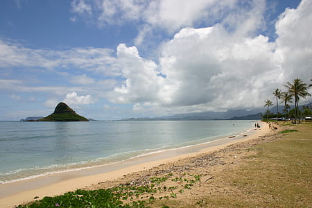 beach during daytime thumbnail