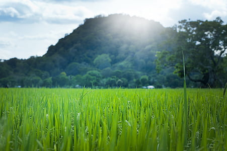 green grass near mountain during daytime thumbnail