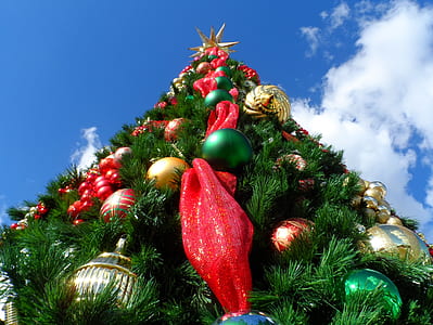 low angle photo of green christmas tree during daytime thumbnail