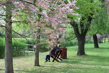 coupe sitting on bench beside trees thumbnail