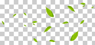 Leaf Green, Green leaves fly with the wind, green leafed plant on blue background PNG clipart