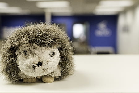 White and Gray Hedgehog Plush Toy on White Table Surface thumbnail