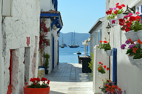 pathway between of houses with flowers during daytime thumbnail