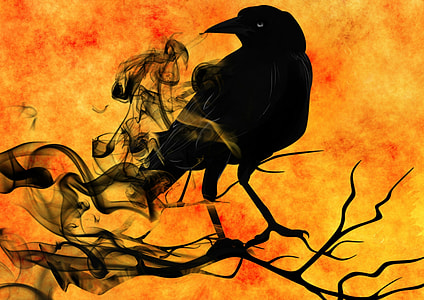 black bird poster thumbnail