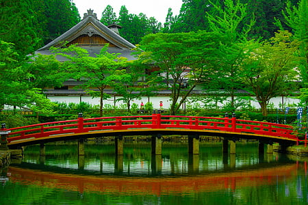 red wooden bridge surrounded by trees thumbnail