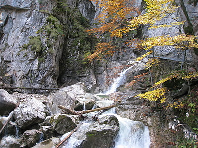 flowing water near green tree at daytime thumbnail