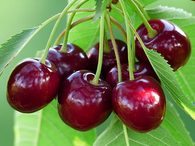 red round fruit thumbnail